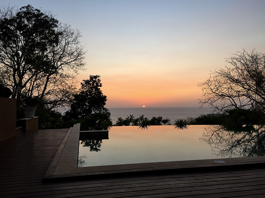 Sunset over infinity pool with ocean view and silhouetted trees