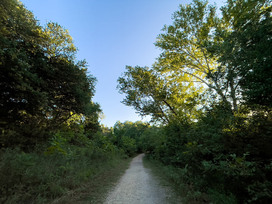 Sunlit gravel path winding through lush green forest trees