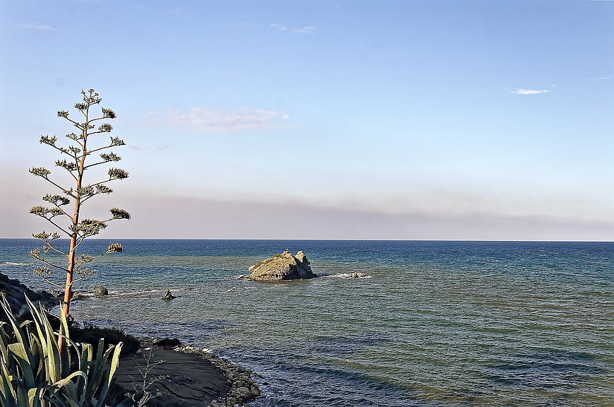Tall Agave Plant on Rocky Mediterranean Coastline with Blue Sea