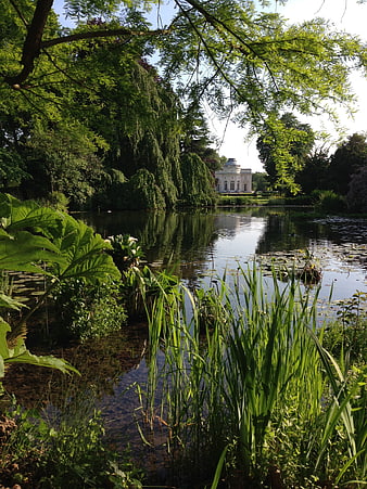 Serene Garden Pond with Classical Pavilion in Background