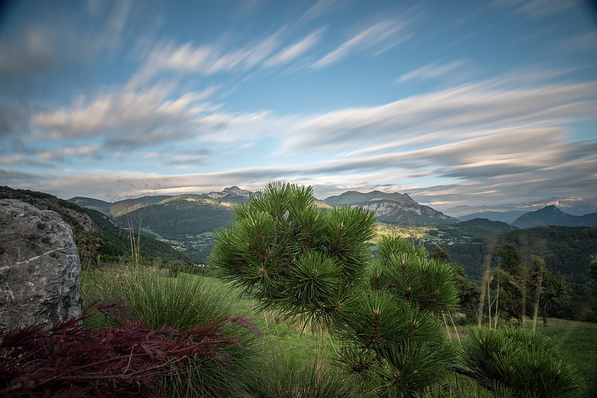Panoramic Alpine Landscape with Pine Tree and Streaked Clouds