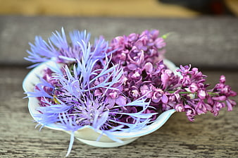 Purple cornflowers and lilacs in a white ceramic bowl
