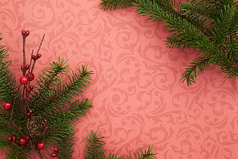 Christmas Pine Branches and Berries on Pink Patterned Background