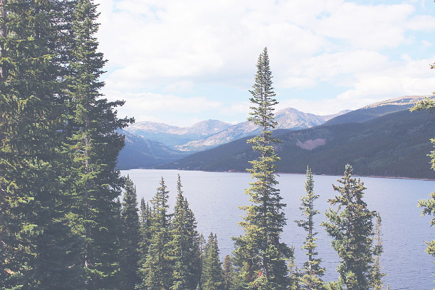 Scenic Lake View Framed by Pine Trees and Mountains