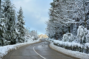 Snowy Winter Road Lined With Frosted Trees And Blue Sky