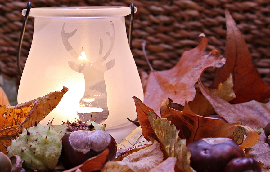 Autumn lantern with deer silhouette and chestnuts