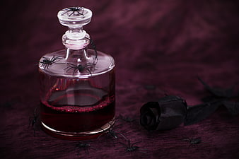 Gothic Halloween Still Life with Spiders and Black Rose