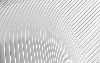 Abstract White Wavy Architectural Lines Pattern