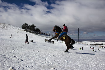 Man riding rearing horse on snowy ski slope