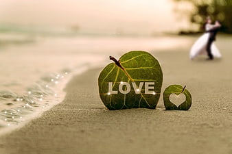 Romantic Beach Wedding Concept with Leaves and Blurred Couple