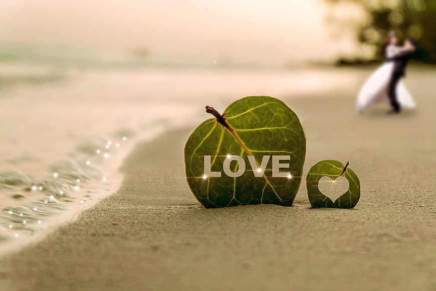 Romantic Beach Wedding Concept with Leaves and Blurred Couple