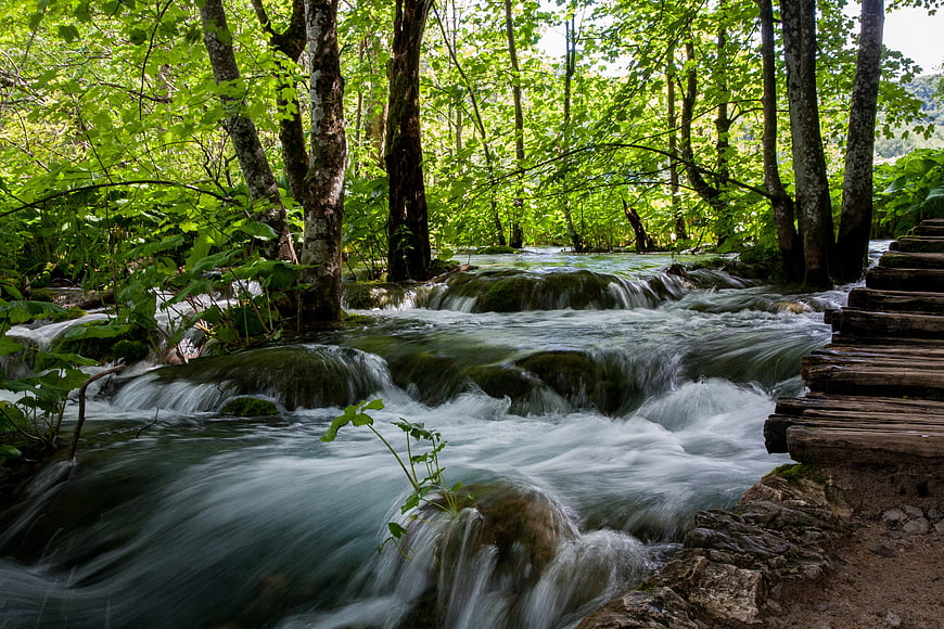 Serene Forest Stream with Wooden Bridge and Lush Greenery