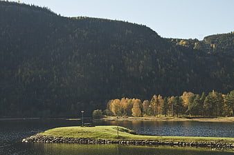 Serene Lake Landscape with Forested Mountain and Autumn Trees