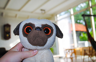 Cute plush pug toy with glittery eyes held in hand