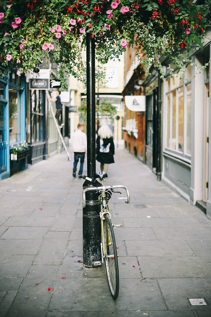Bicycle parked under hanging flowers in a charming European street