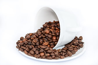 Roasted coffee beans spilling from white ceramic cup on saucer