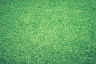 Green Artificial Grass Texture Background