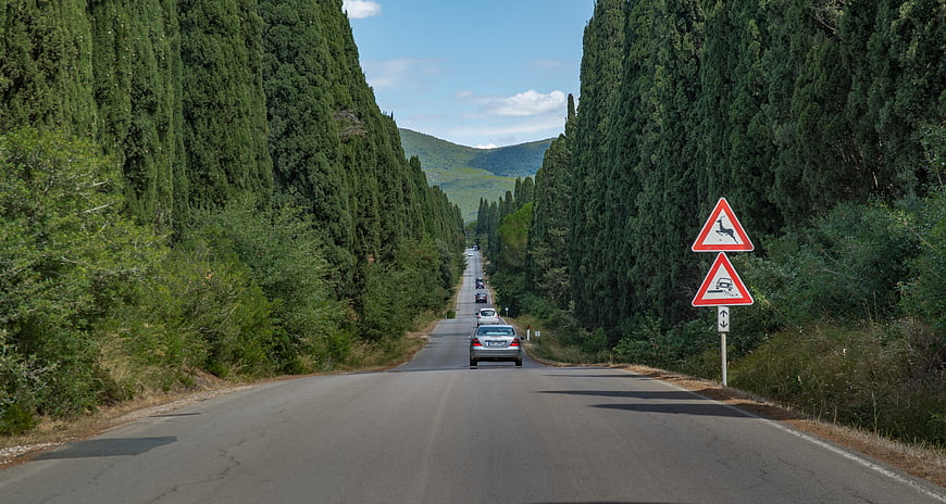 Scenic road lined with tall cypress trees in Tuscany