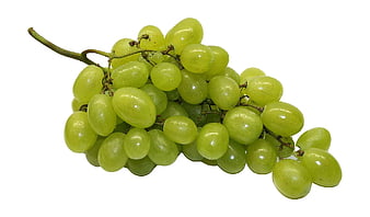 Fresh Green Grapes Isolated on White Background