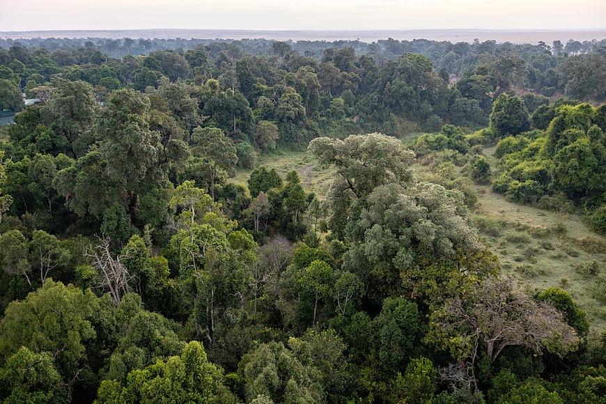 Aerial View of Lush Green Forest and Savanna Landscape