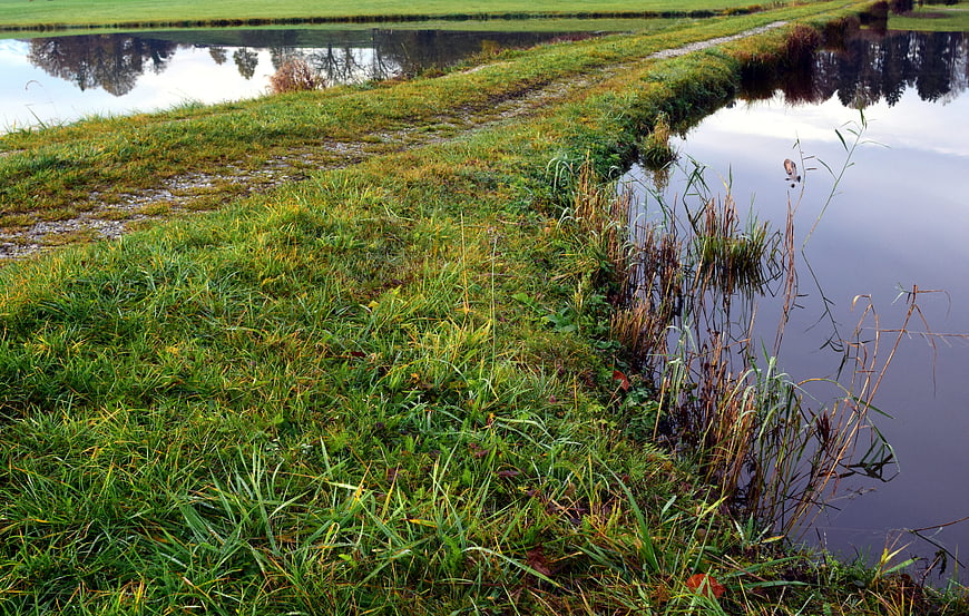 Grassy dike path between calm water reflecting trees