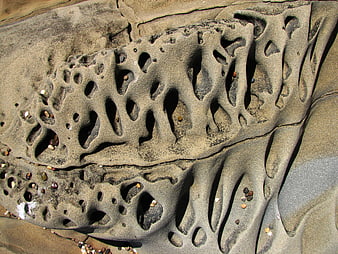 Close-up of eroded sandstone rock with natural holes and pebbles