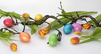 Colorful Easter Eggs with Tulips and Twigs on White Background