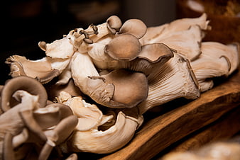 Fresh Oyster Mushrooms on Wooden Board
