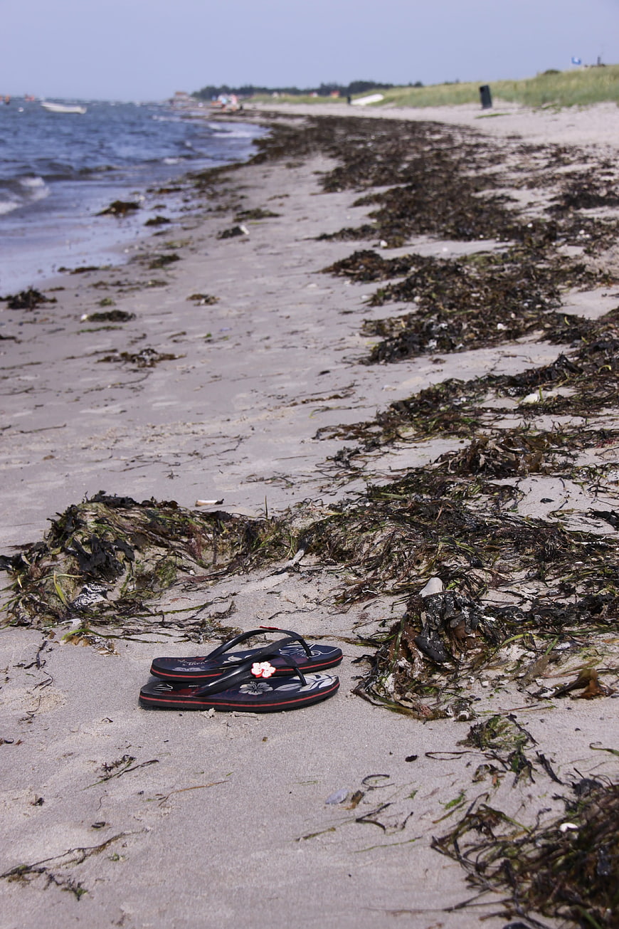 Flip Flops on Sandy Beach with Seaweed