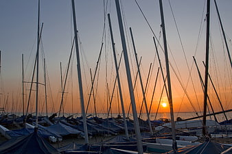 Sailboat Masts Silhouetted Against Orange Sunset Sky