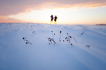 Blurred Silhouette of Couple Walking in Snowy Winter Landscape
