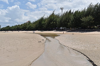 Sandy beach with winding stream and pine trees in Hua Hin