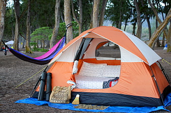 Orange Camping Tent with Hammock in Forest