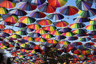 Colorful rainbow umbrellas hanging against blue sky