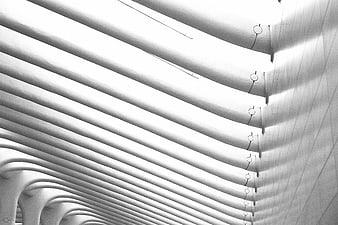 Abstract Black and White Architectural Curves and Shadows