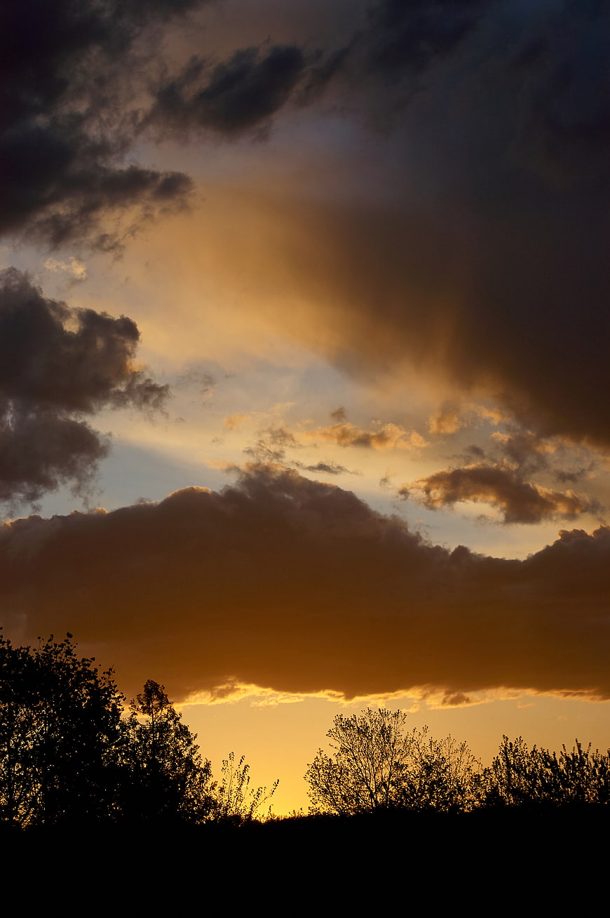 Dramatic Golden Sunset Sky with Silhouetted Trees