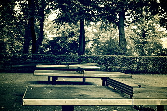 Empty Outdoor Ping Pong Tables in Park