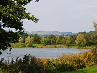 Serene park landscape with pond, trees, and distant hills