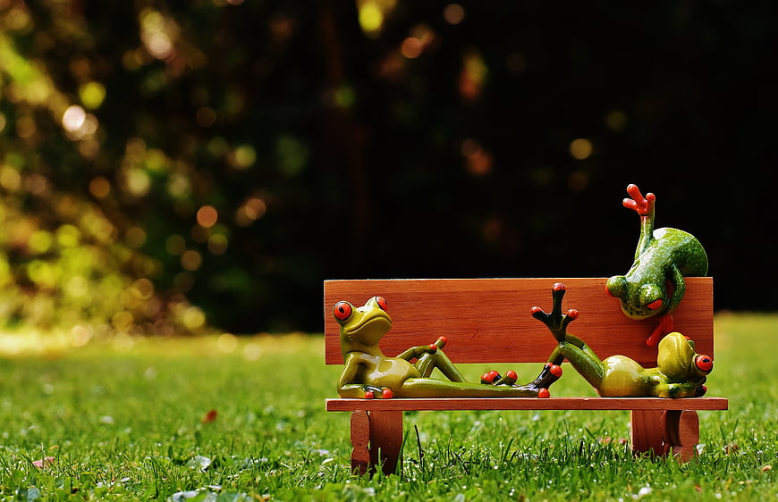 Cute frog figurines relaxing on a miniature wooden bench in a garden