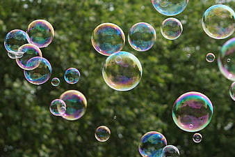 Iridescent soap bubbles floating against green nature background