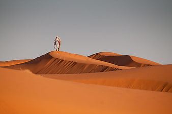 Couple Walking on Red Sand Dunes in Moroccan Desert