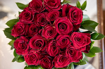 Top View of Vibrant Red Rose Bouquet with Green Leaves