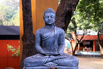 Serene Buddha Statue in Meditation Pose Outdoors