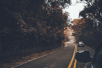 Car driving on winding autumn road through forest