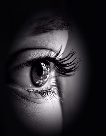 Dramatic Black and White Close-Up of Female Eye with Long Eyelashes