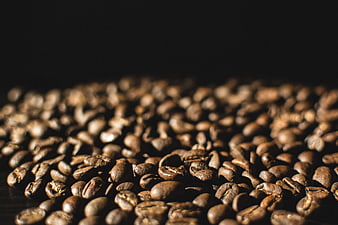 Close-up of roasted coffee beans on dark background