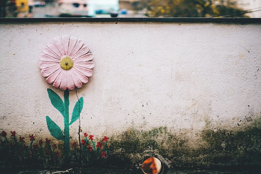 Pink Flower Mural on Weathered Wall