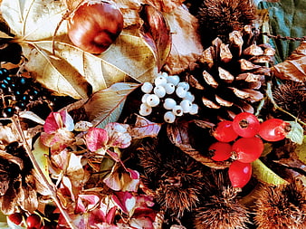 Autumn Nature Still Life with Chestnuts, Berries, and Leaves