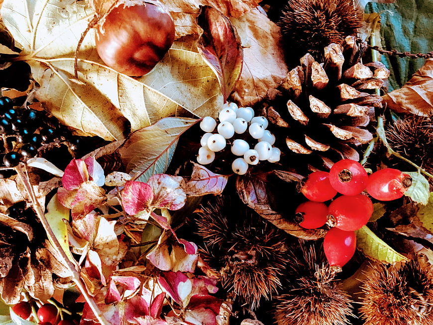 Autumn Nature Still Life with Chestnuts, Berries, and Leaves