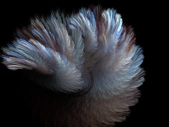Abstract fractal art resembling blue and grey feathers